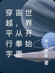 穿越平行宇宙,从拳愿世界开始