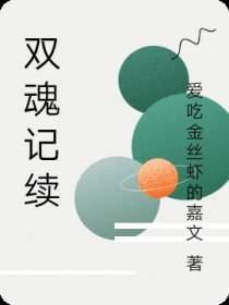 双魂记续