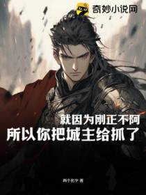 就因为刚正不阿,所以你把城主给抓了？
