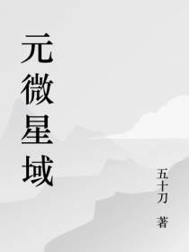 元微星域