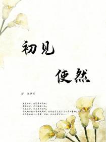 初见使然