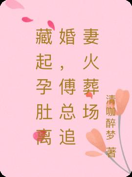 藏起孕肚离开,傅总追妻火葬场