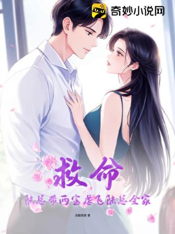 救命,陆总带两宝虐飞陆总全家