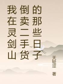 我在灵剑山倒卖二手货的那些日子