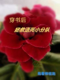 穿书之后,拯救送死小分队