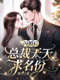 闪婚后,总裁天天求名份