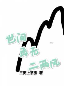 世间再无二两风