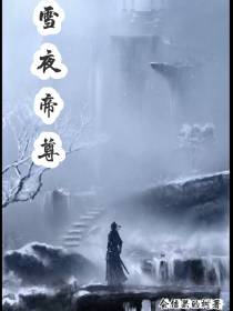 雪夜帝尊