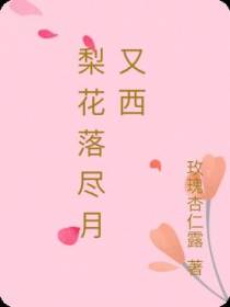 梨花落尽月又西