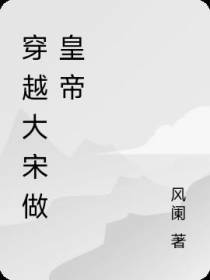 穿越大宋做皇帝