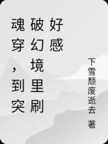 魂穿,到突破幻境里刷好感