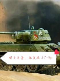 明日方舟,但变成了T34