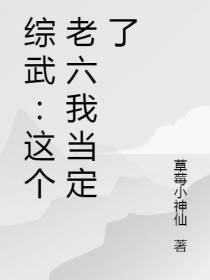 综武：这个老六我当定了