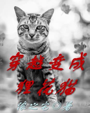 穿越变成狸花猫