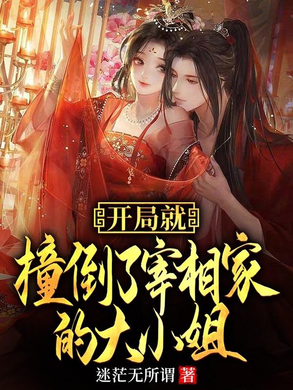 开局就撞倒了宰相家的大小姐