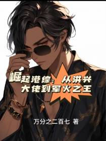 崛起港综：从洪兴大佬到军火之王