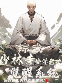 综武：少林寺偷学武功,觉醒系统