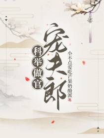 穿越之科举做官宠夫郎