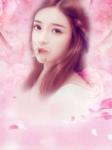 温少的未婚妻又上热搜了小说
