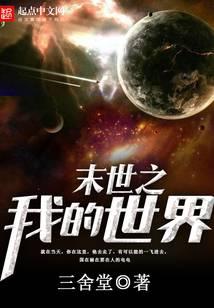 末世之我的世界