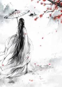 贞观悍婿