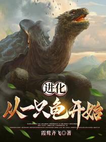 进化：从一只龟开始