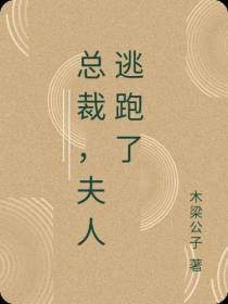 总裁,夫人逃跑了