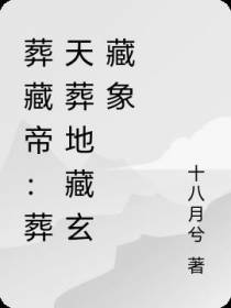 葬藏帝：葬天葬地藏玄象