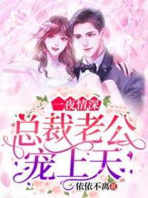 一夜情深，总裁老公宠上天