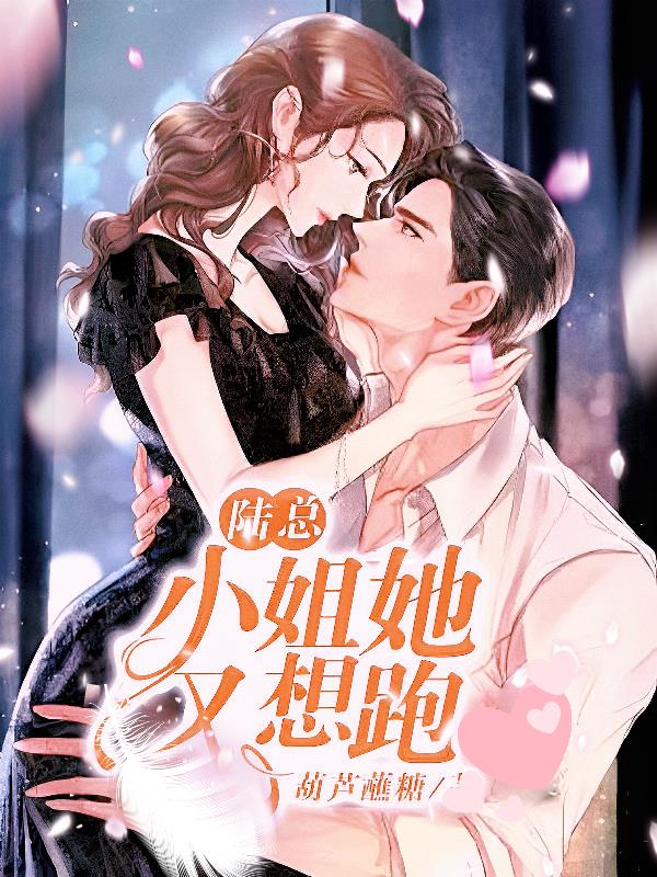 陆总,小姐她又想跑