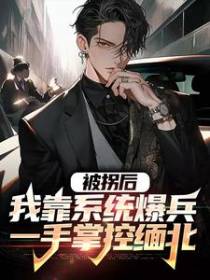 被拐后，我靠系统爆兵一手掌控缅北