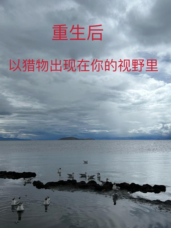 重生后,以猎物出现在你的视野里