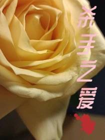 杀手之爱