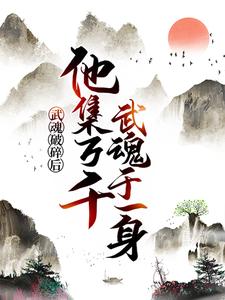 武魂破碎后，他集万千武魂于一身