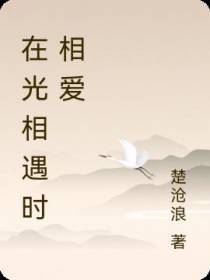 在光相遇时相爱