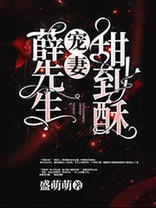 薛先生宠妻甜到酥