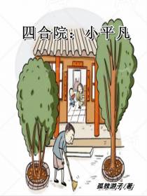 四合院：小平凡