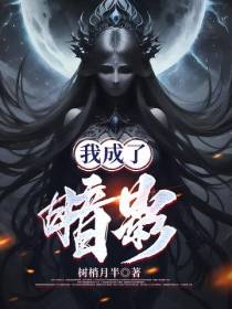 我成了暗影