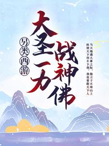 另类西游：大圣一力战神佛