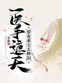 医手遮天：带着乖宝去种田
