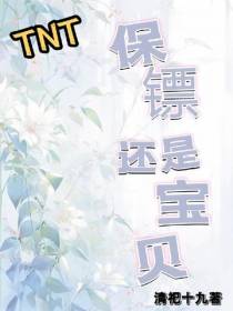 TNT：保镖还是宝贝