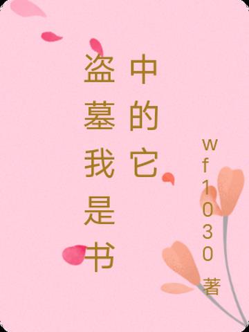 盗墓我是书中的它