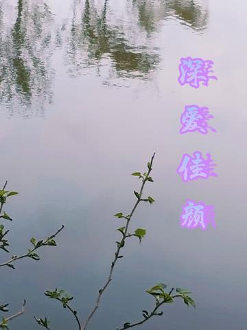 深爱佳颜