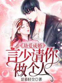 劫爱成婚：言少，请你做个人