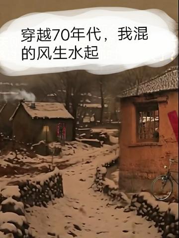 穿越70年代,我混的风生水起