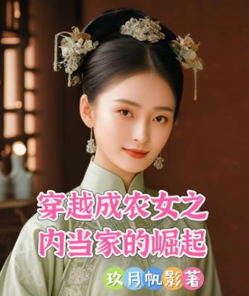 穿越成农女之内当家的崛起