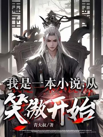 我是一本小说,从笑傲开始