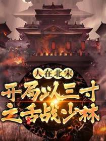 人在北宋，开局以三寸之舌战少林