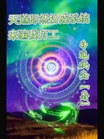 天道即然扮成系统来我打工