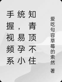 手握视频系统,易孕小知青顶不住